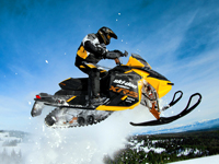 Snow Mobile & ATV Bearings